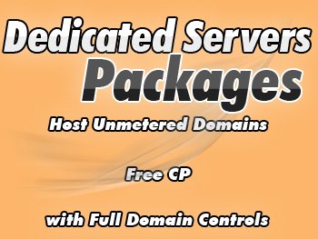 Cut-price dedicated hosting servers service